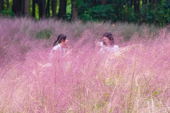 初秋新色 | 修在花園里的交大